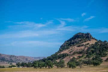 Scenic hill with trees under blue sky