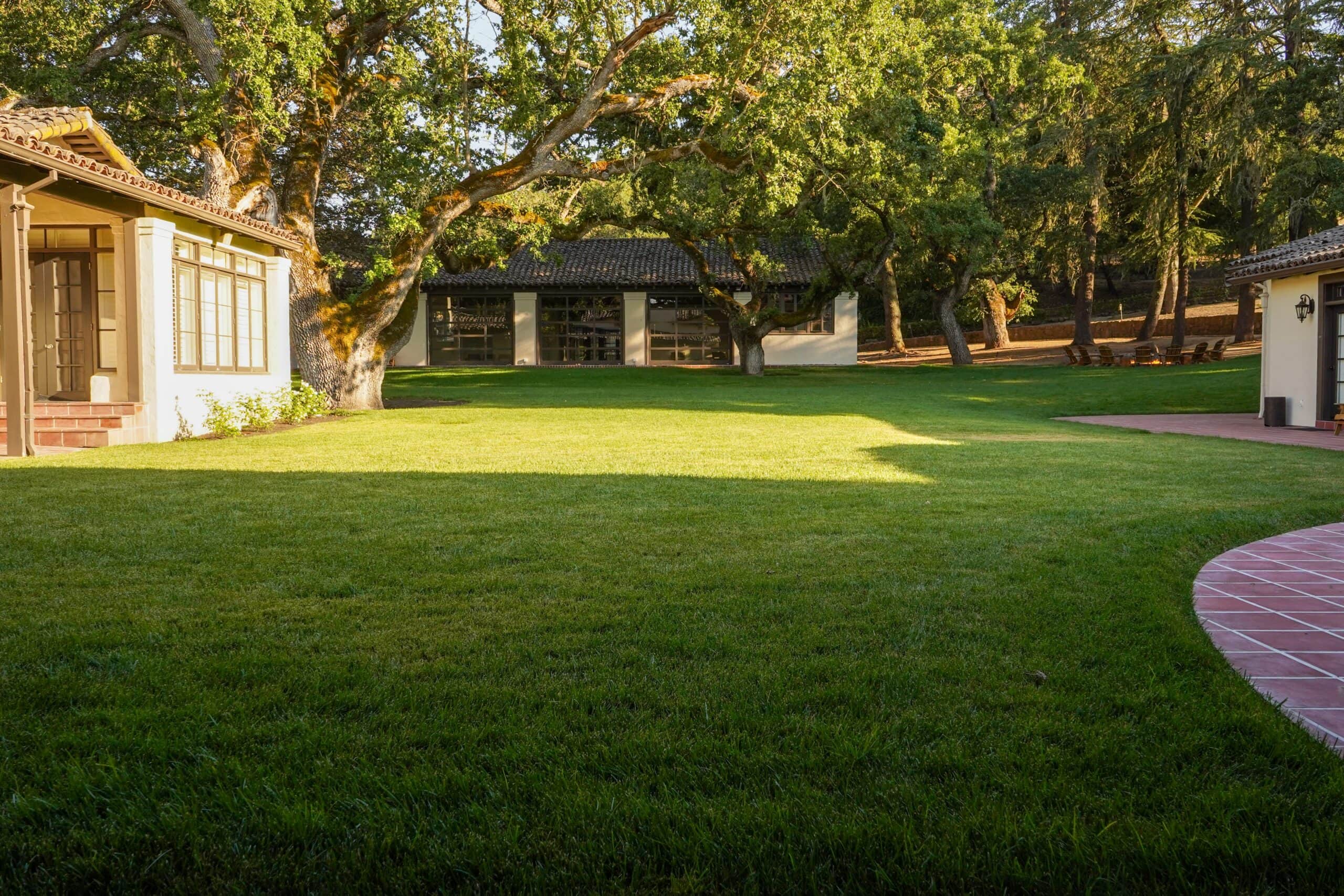 Lush green lawn with trees and buildings.