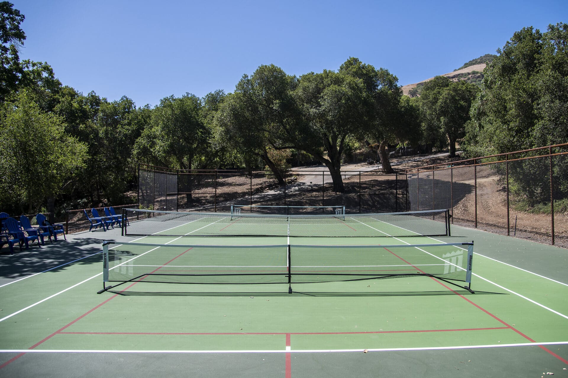 Empty tennis court surrounded by trees.