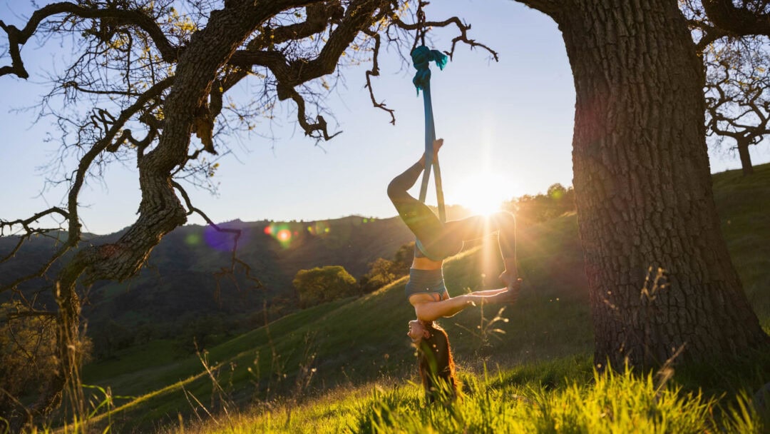 Person practicing aerial yoga on tree at sunset.