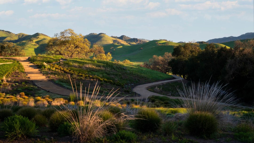 Scenic trail through green rolling hills at sunset.