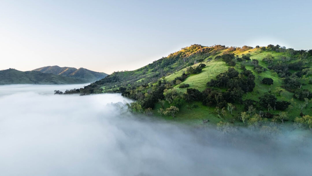 Foggy hills with green trees and sunlight.