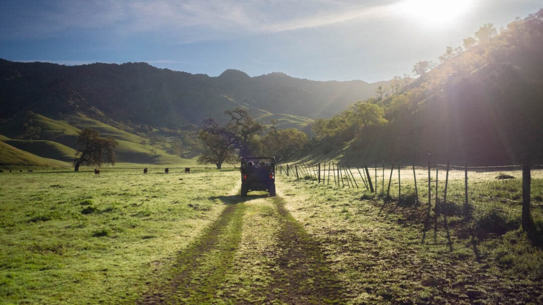 ATV driving on a sunny mountain trail.