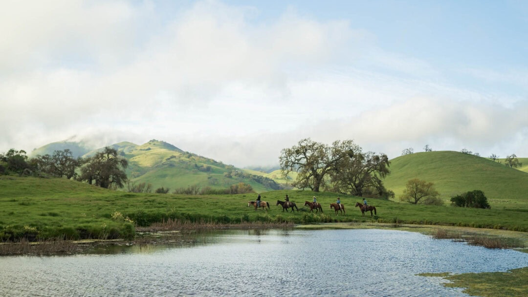 Riders on horseback in grassy hills near pond.