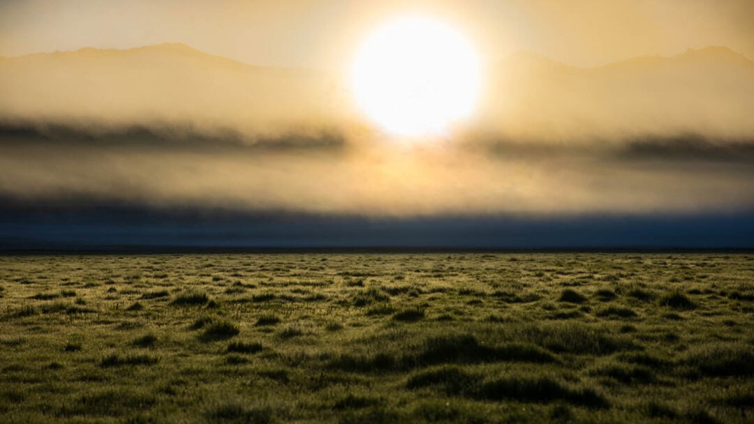 Sunrise over misty grass field with mountains