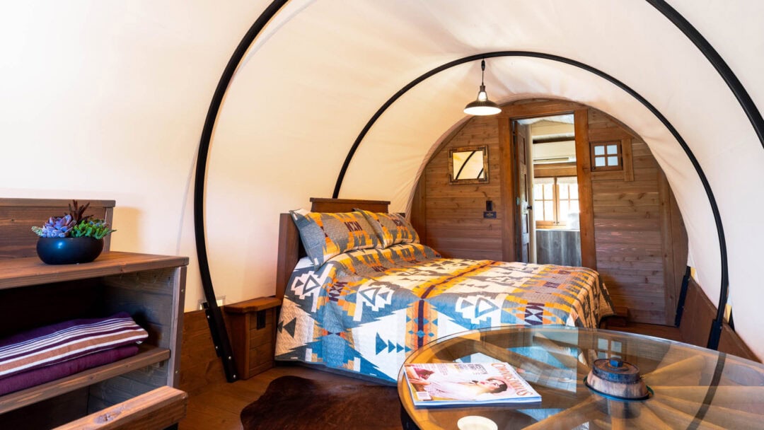 Cozy cabin bedroom with quilt and plants.