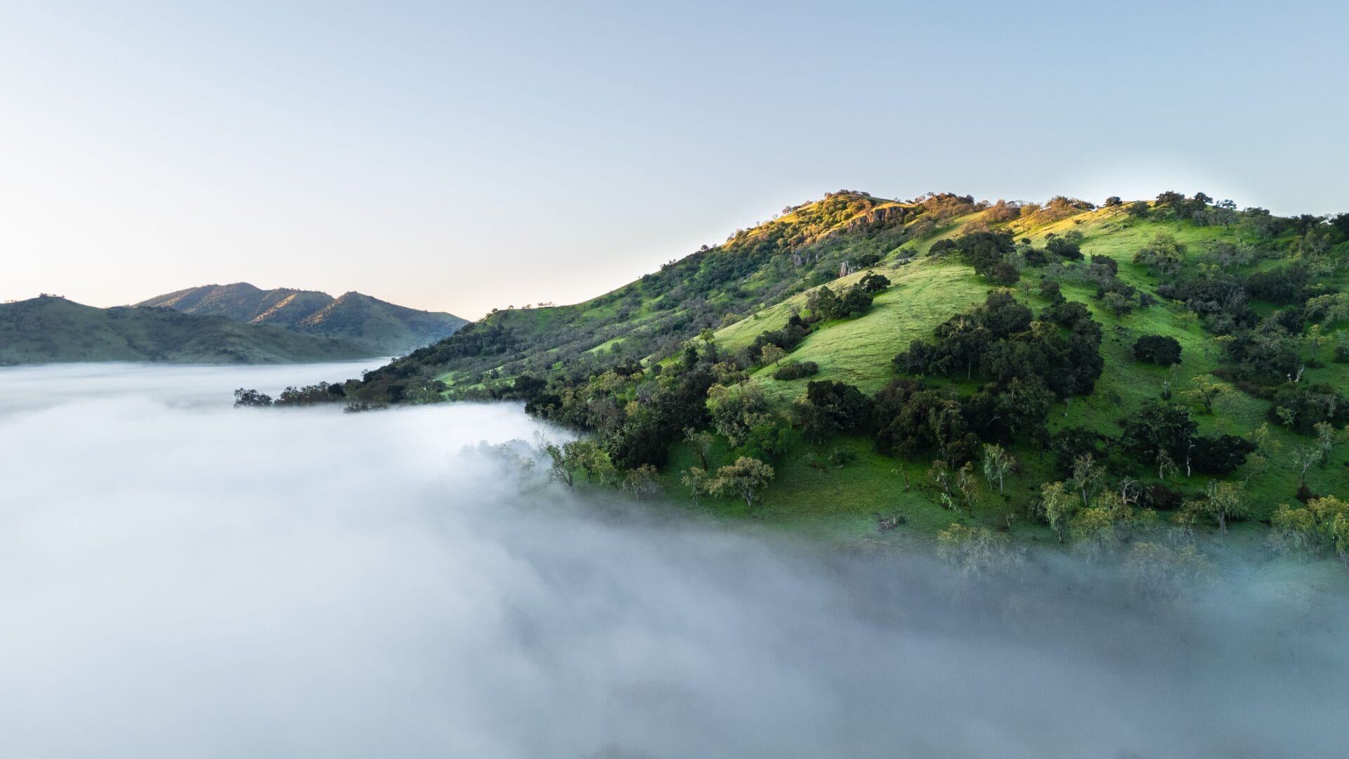 Foggy green hills in early morning light.